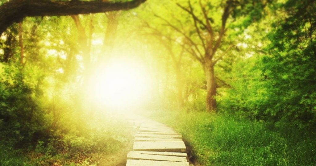 天使やスピリットガイド との正しい接し方