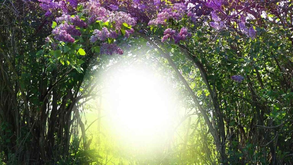 【運気アップの秘密】スピリチュアルの力を借りる事と現実的な行動の割合