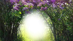 【運気アップの秘密】スピリチュアルの力を借りる事と現実的な行動の割合