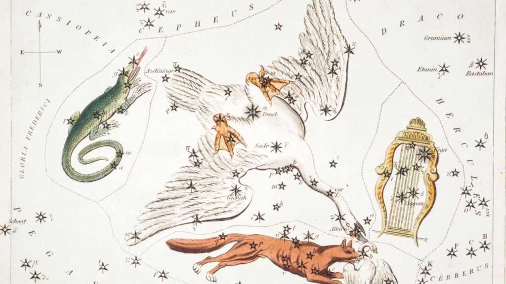 リラスターシードの特徴パート1：プレアデスとの関係や猫を愛する理由