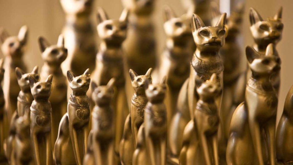 猫の惑星から来たフィーライン・スターシード｜キャットピープル