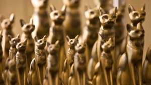 猫の惑星から来たフィーライン・スターシード｜キャットピープル