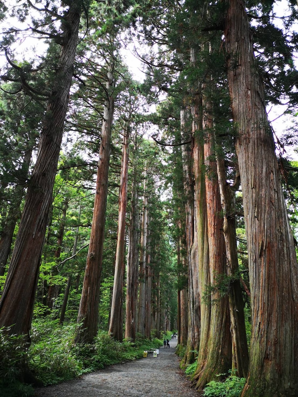 自分を深く知り、人生を輝かせる22の問い